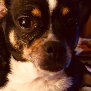 Meet your Posher, Paula